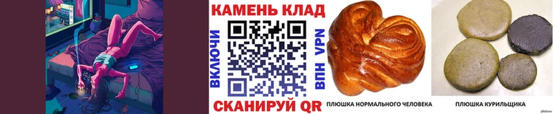 закладки  Городовиковск  блэк спрут онион  ГАШИШ убойный 