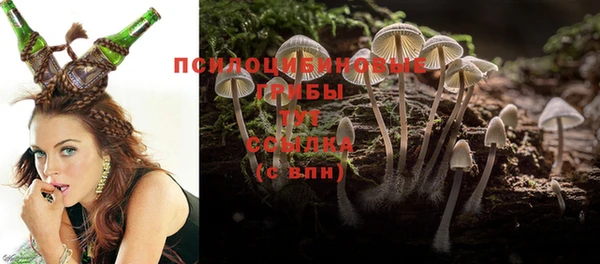 молекула духа Баксан