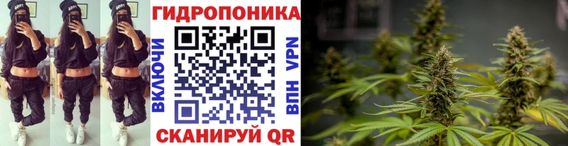 Бошки Шишки индика Городовиковск